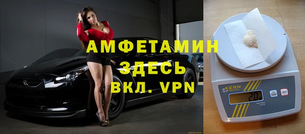 гидра Вяземский