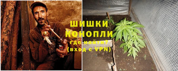 гидра Вяземский