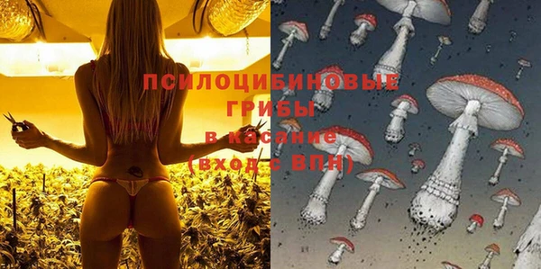 прущий лед Вязники