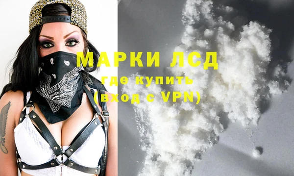 гидра Вяземский