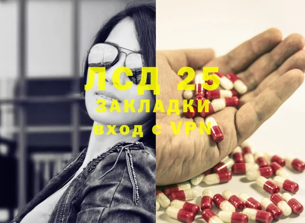 гидра Вяземский
