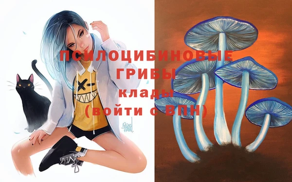 прущая мука Вязьма