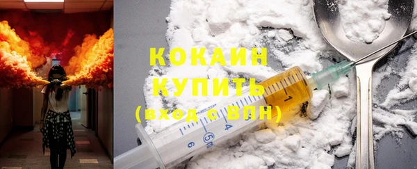 гидра Вяземский