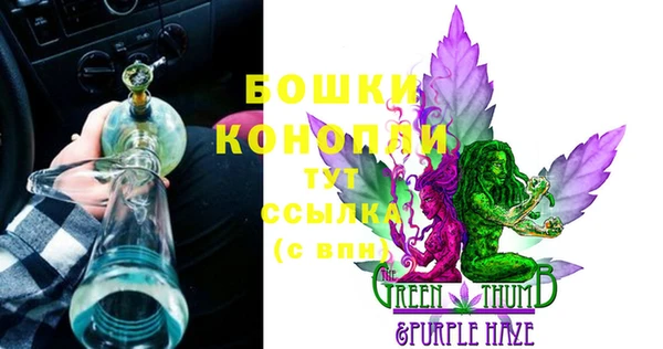 гидра Вяземский