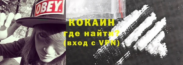 гидра Вяземский