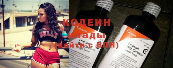 гидра Вяземский