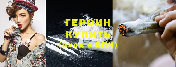 гидра Вяземский