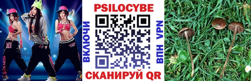 Псилоцибиновые грибы GOLDEN TEACHER Купить Волчанск